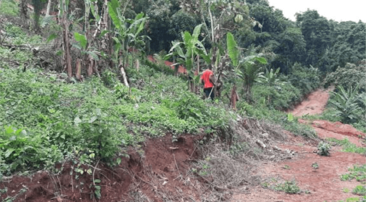 Prefeasibility Architectural and Geomatic study